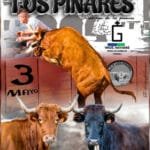 Villaroya de los Pinares