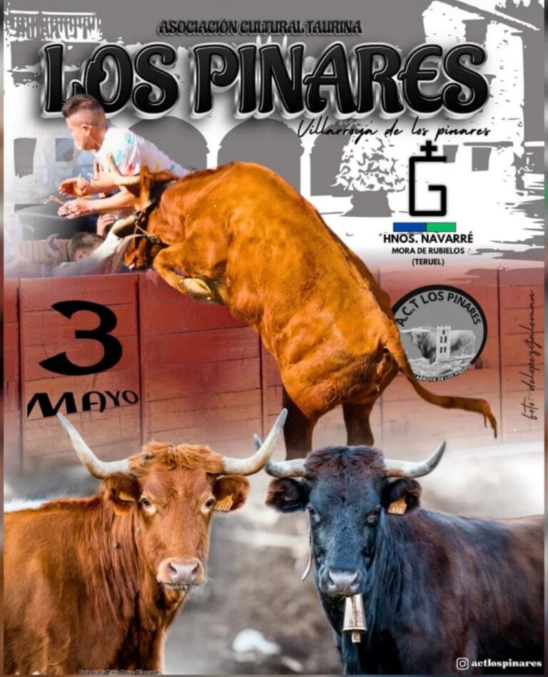 Villaroya de los Pinares