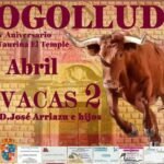Cogolludo