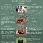Els Ibarsos