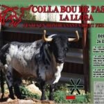 La Llosa