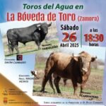 La Bóveda de Toro
