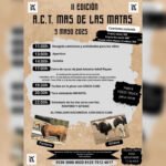 Mas de las Matas