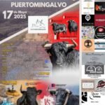 Puertomingalvo