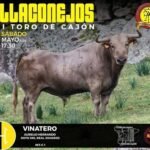 Villaconejos