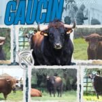 Gaucín