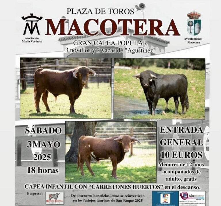 Macotera