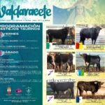 Valdaracete