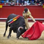 Aaron Palacio en Valencia