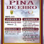 Pina de Ebro