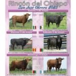 Rincón del Obispo