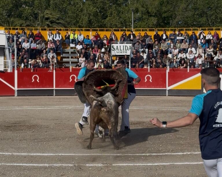Montañana gana en Tauste en la vuelta de Maylin al Concurso de Roscaderos