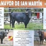 Aldemayor de San Martín