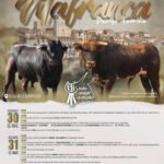 Villafranca del Cid