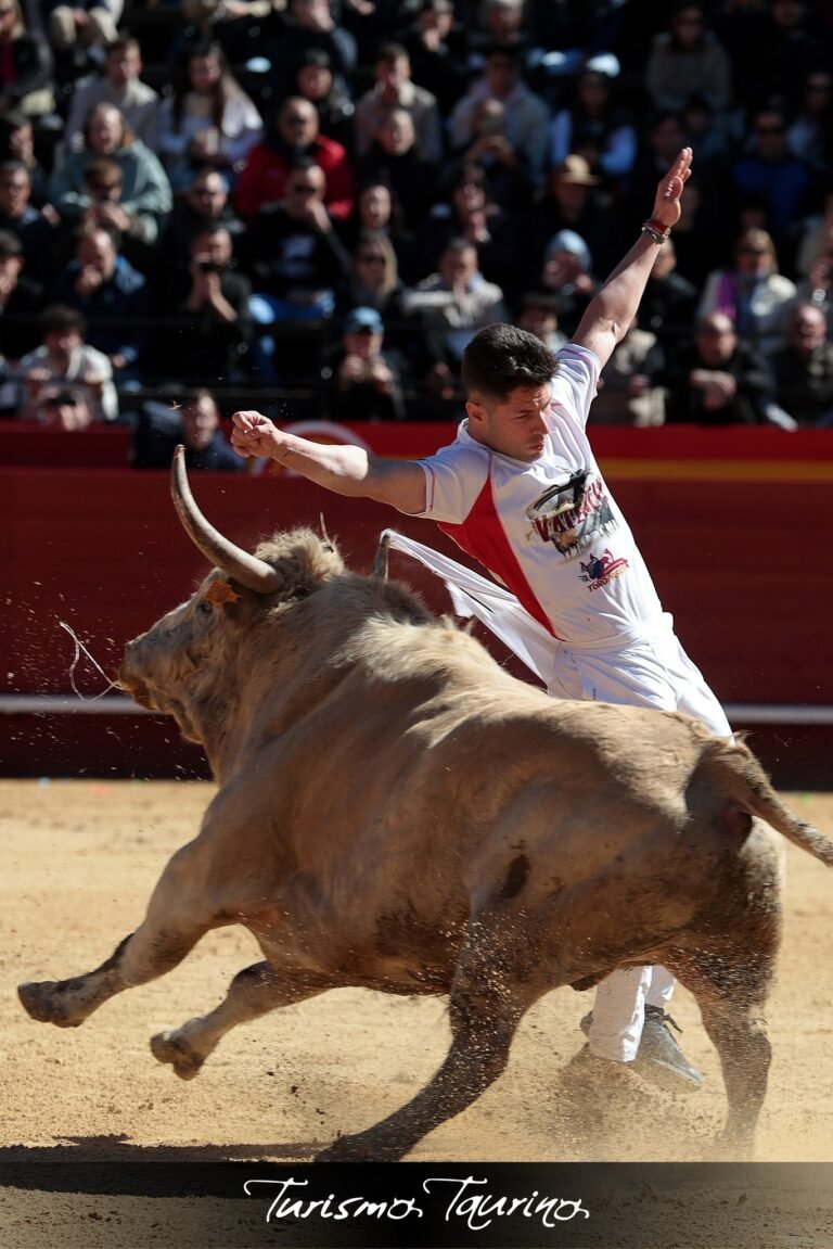 Poca en el pasado concurso de Fallas, en Valencia