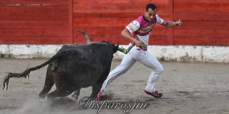 Estarriaga y Teixeira se imponen en Pina de Ebro en el Concurso Nacional de Recortadores con Anillas