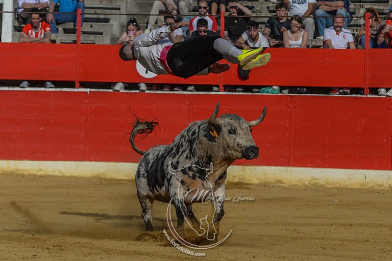 Juancar gana en Alfaro y Miguel Mora cae herido con “Huracán”, capón de Arriazu