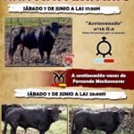 La Vall d'Uixó