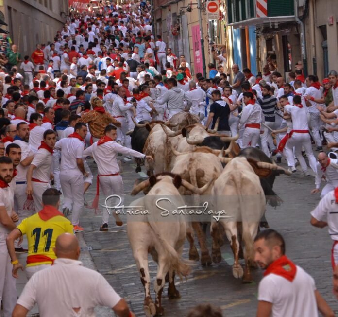 Alpargata de Honor 2024
