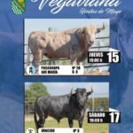 Vegaviana