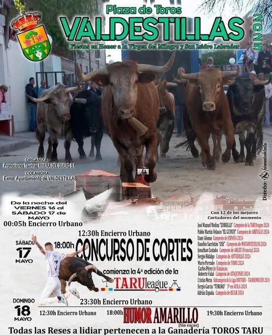 Valdestillas