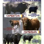 Villalba del Alcor