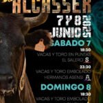 Alcàsser