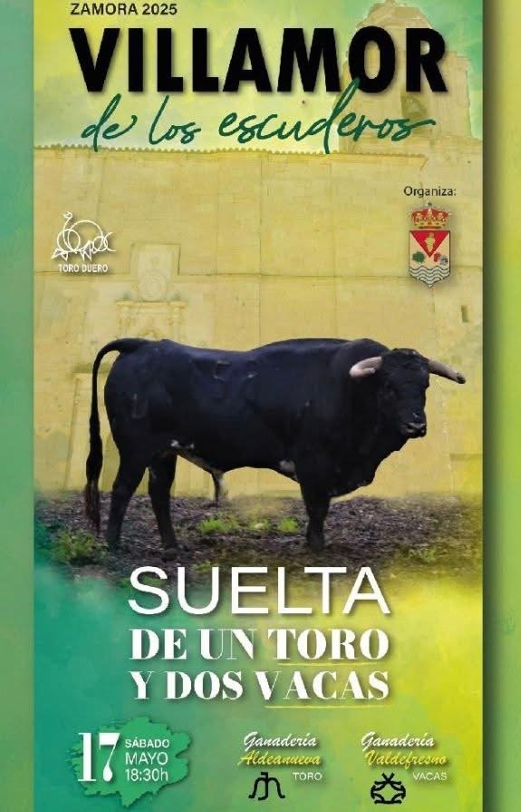 Villamor de los Escuderos