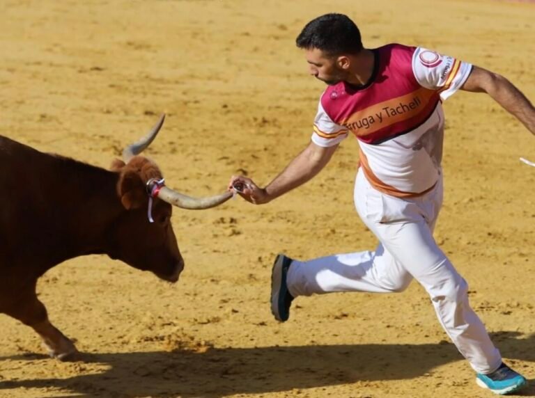 Concurso nacional de recortadores de anillas en Cariñena