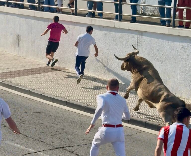 Picante de Toropasión en un espectacular domingo de encierros en Alfaro