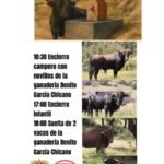 Nava de Arriba