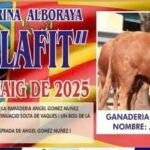 Alboraya