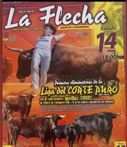 La Flecha