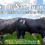 Fresno el Viejo