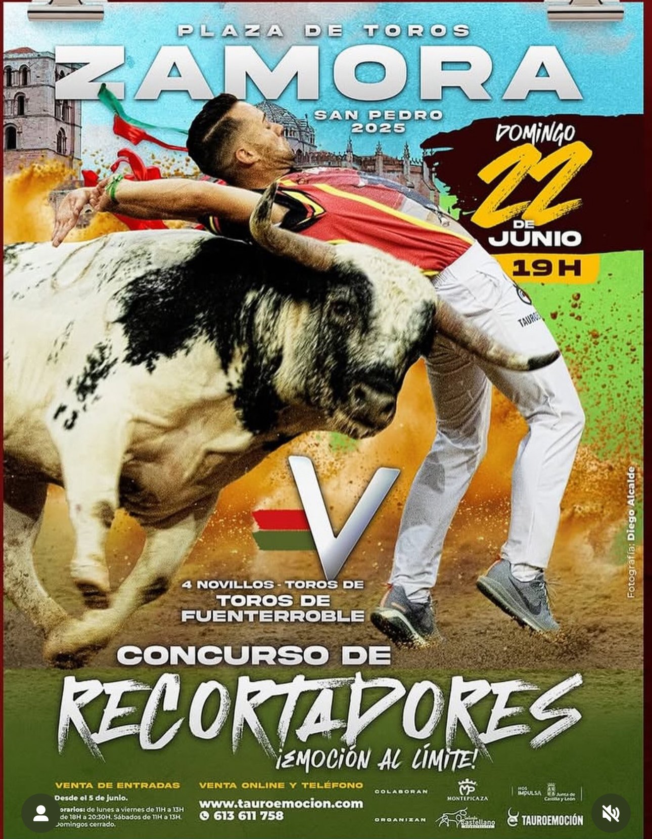 Zamora
