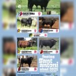 La Vall D'Uixo