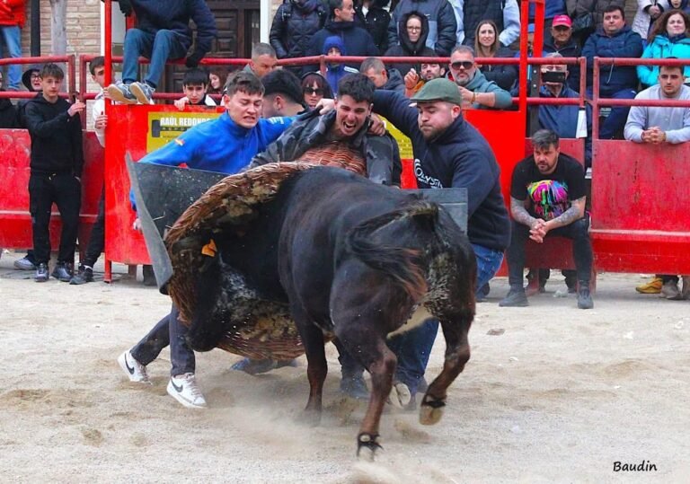 Nacho Royo, al centro, con la nº 306 de Los Maños: Listilla. | Foto: Baudin