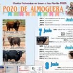 Pozo de Almoguera