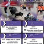 Bergara