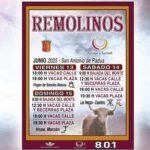 Remolinos