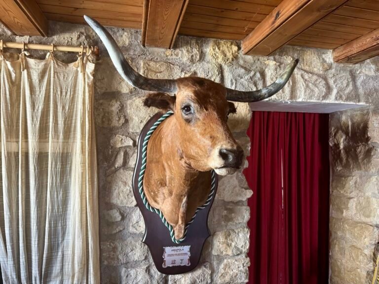 La vaca que rompía palos y corazones: homenaje a Amapola, nº 135 de Don Jesús Marcén