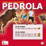 Pedrola