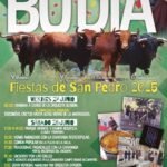 Budia