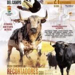 Almodóvar del Campo