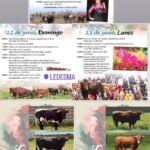Ledesma