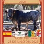 Villanueva de Duero