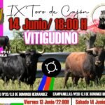 Vitigudino