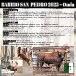 Onda - Barrio San Pedro