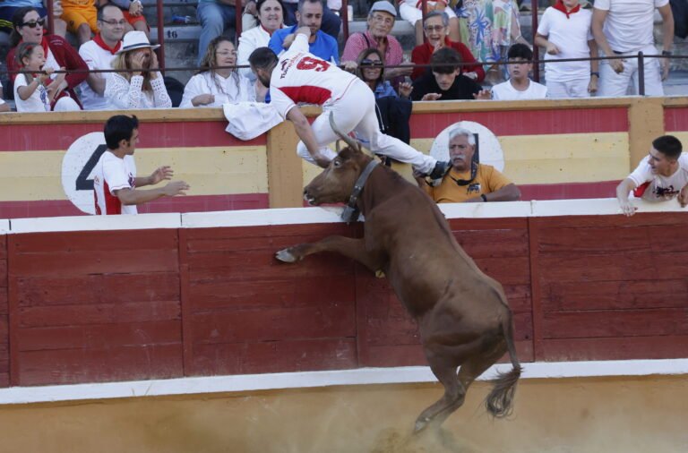 Mario y Kimera ganan el concurso de recortadores en Tudela frente a Pericola de Eulogio Mateo