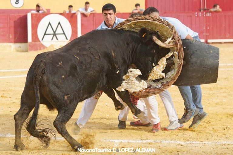 Sádaba ganó en Alagón un fuerte y exigente concurso de roscaderos con vacas de Don Jesús Marcén